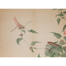 Shunkei: Dragonfly and Larva - Ronin Gallery