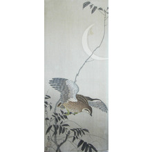 Koson: Quail and Crescent Moon - Ronin Gallery