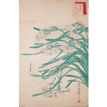 Sugakudo: Water-wagtail, Spider and Narcissus - Ronin Gallery