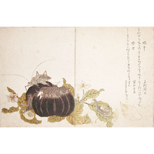 Kitagawa Utamaro: Land Snail and Giant Katydid - Ronin Gallery