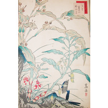 Sugakudo: Ruri Bird and Reeds - Ronin Gallery