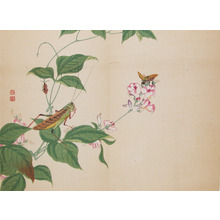 Shunkei: Grasshopper and Bee - Ronin Gallery