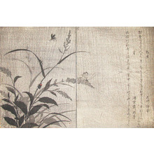 Kitagawa Utamaro: Tree Cricket and Firefly - Ronin Gallery