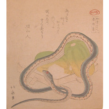 Katsushika Hokusai: Snake - Ronin Gallery