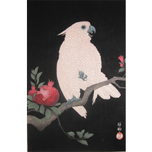 Shoson: White Parrot and Pomegranate - Ronin Gallery