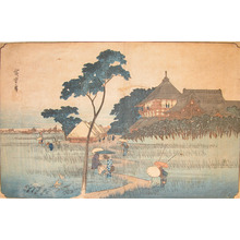Utagawa Hiroshige: Rice Field - Ronin Gallery