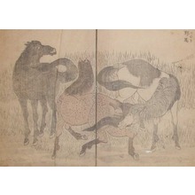 Katsushika Hokusai, 葛飾北斎 (Hokusai)による浮世絵「Wild Horses」