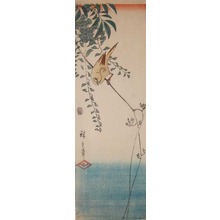 Utagawa Hiroshige: Yellow song bird - Ronin Gallery