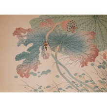 Shunkei: Evening Cicada and Wasp on Lotus - Ronin Gallery