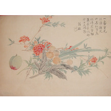 Unknown: Fruits and Flowers - Ronin Gallery