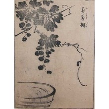 Hogan: Grape Vine and Water Basin - Ronin Gallery