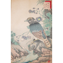 Sugakudo: Buppozo Bird and Shiyoyama - Ronin Gallery