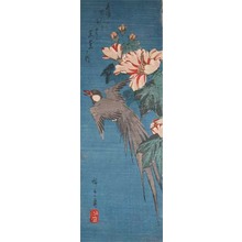 Utagawa Hiroshige: Long Tailed Bird and Fuyo Flower - Ronin Gallery