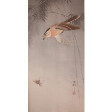 Koson: Hawk Chasing an Insect - Ronin Gallery