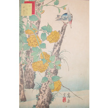 Sugakudo: Kingfisher and Yellow Rose - Ronin Gallery