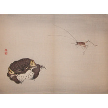 Shunkei: Frog and Cricket - Ronin Gallery