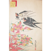 Sugakudo: Returning Swallows - Ronin Gallery