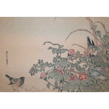 葛飾北斎: Sparrows and Summer Flowers - Ronin Gallery