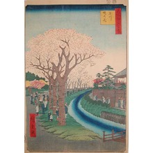 歌川広重: Blossoms on the Tama River - Ronin Gallery