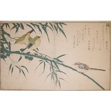 喜多川歌麿: Long-tailed Tit and Japanese White-eye - Ronin Gallery