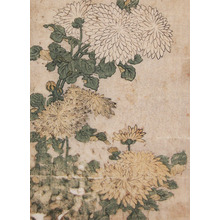 Kitagawa Utamaro: Autumn Mums - Ronin Gallery