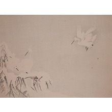 Unknown: Egrets in Snow - Ronin Gallery