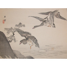 Gyokudo: Geese and Moon - Ronin Gallery