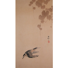 Koson: Bird and Ivy Leaves - Ronin Gallery