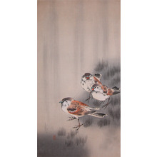 Koson: Three Sparrows in a Rain Shower - Ronin Gallery