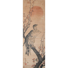 Goseki: Eagle and Plum Blossoms - Ronin Gallery