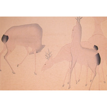 Unknown: Deer - Ronin Gallery