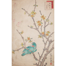 Sugakudo: Parrot and Wintersweet(robai) - Ronin Gallery