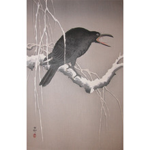 Koson: Cawing Crow on Snow Covered Branch - Ronin Gallery