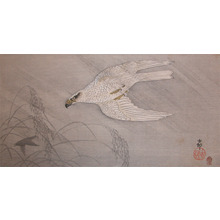 Koson: Gos Hawk Chasing Prey in Rainstorm - Ronin Gallery