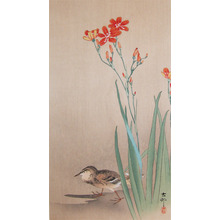 Koson: Pipit on a Riverbank - Ronin Gallery