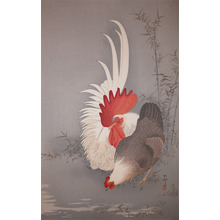 Koson: Rooster and Hen - Ronin Gallery