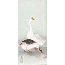 Sozan: Two Geese and a frog - Ronin Gallery