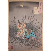 Tsukioka Yoshitoshi: Moon Over the Moor - Ronin Gallery