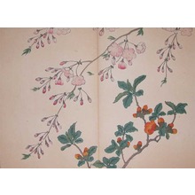 Sakai Hoitsu: Cherry and Sweet Olive - Ronin Gallery