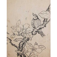 Tohaku: Song Bird and Flower - Ronin Gallery