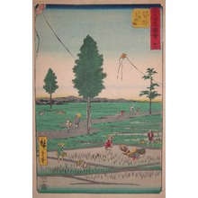 Utagawa Hiroshige: Fukuroi - Ronin Gallery