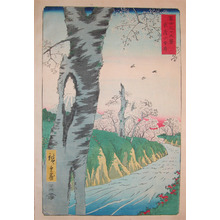 Utagawa Hiroshige: Cherry Blossoms at Koganei - Ronin Gallery