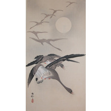 Koson: Eight White Fronted Geese in Flight - Ronin Gallery