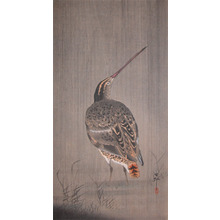 Koson: Snipe in Rain - Ronin Gallery