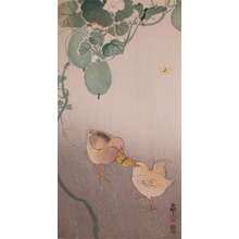 Koson: Two Chicks and Butterfly - Ronin Gallery