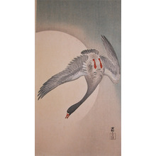 Koson: White Fronted Goose and Full Moon - Ronin Gallery