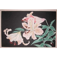 Tokuriki: White Tiger Lily - Ronin Gallery