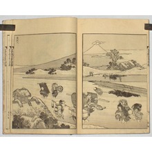 Untitled Japanese Print by Katsushika Hokusai, 葛飾北斎 (Katsushika HOKUSAI)