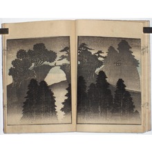 Unbetitelter japanischer Druck von Yashima Gakutei, 屋島岳亭 (Yashima GAKUTEI)