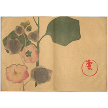 Japanese Print by Nakamura Hochu, 中村芳中 (Nakamura HOCHU)